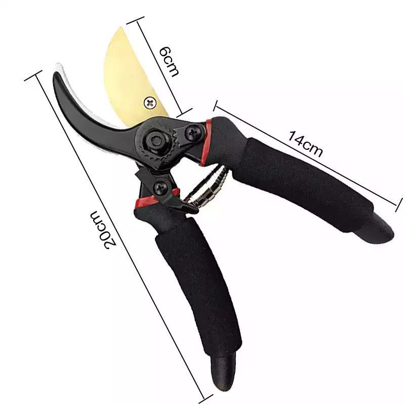 Agricultural pruning shears