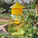 Fruit fly trap with pheromone