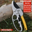 Agricultural pruning shears